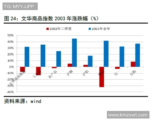 疫情期间全球公共卫生应急响应与社会经济影响的综合分析与展望