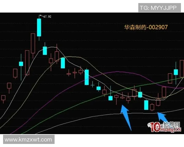 上海羽毛球队灵活性分析与战术创新的深度探讨